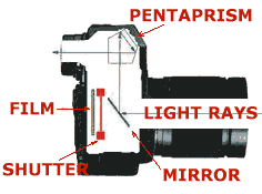 SLR schematics